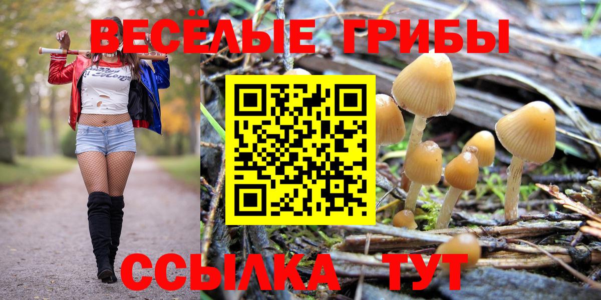 Псилоцибиновые грибы ЛСД Ливны