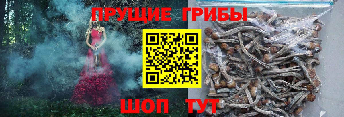Ливны  Псилоцибиновые грибы Psilocybe  Вход с VPN  Галлюциногенные грибы Magic Shrooms 